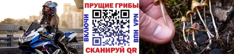 Галлюциногенные грибы мухоморы  Купить закладки  Завитинск 